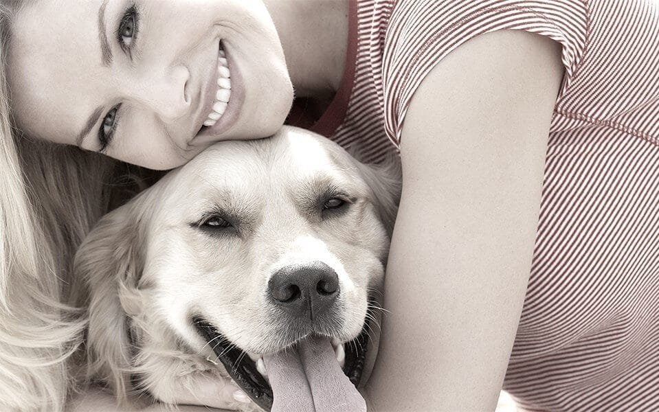 petheart.jpg petheart.jpg