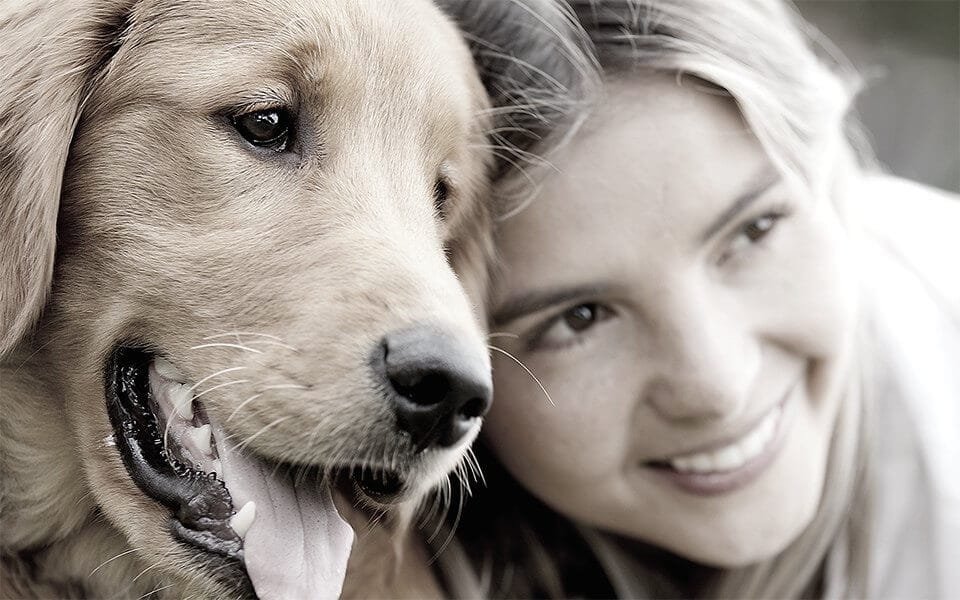 petlove.jpg petlove.jpg